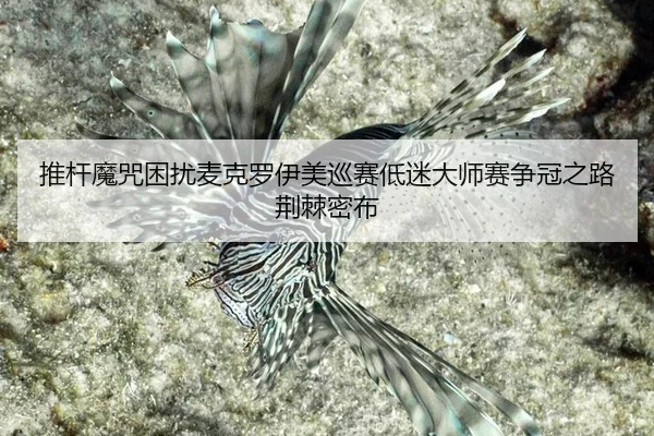 tui-gan-mo-zhou-kun-rao-mai-ke-luo-yi-mei-xun-sai-di-mi-da-shi-sai-zheng-guan-zhi-lu-jing-ji-mi-bu-2-703.jpg